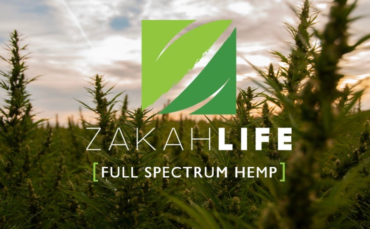 The best CBD company near me, the best CBD Oil