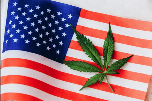 Marijuana leaf on USA flag, weed news, cannabis on united states flag