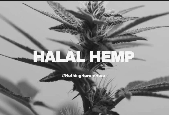 CBD Saudia Arabia, CBD laws in middle east, Hemp Halal