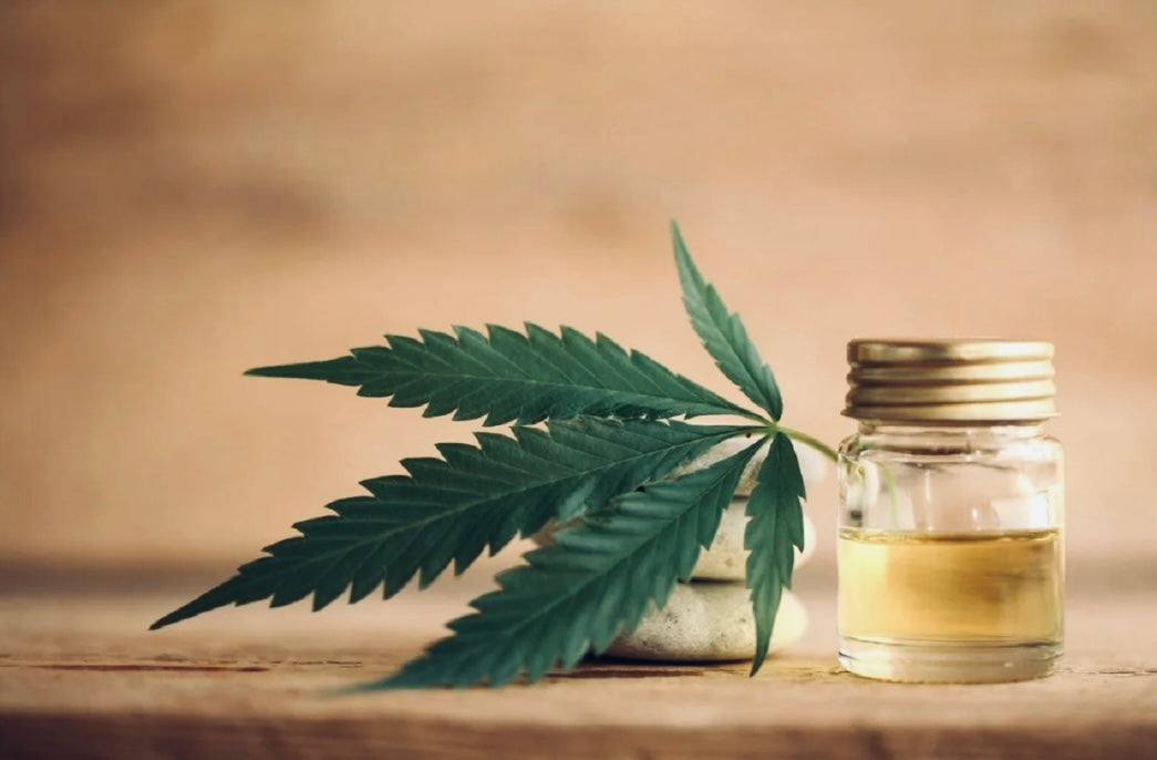 Marijuana Consumers Who Caught COVID Had ‘Better Outcomes And Mortality’ Than Nonusers, Study Finds