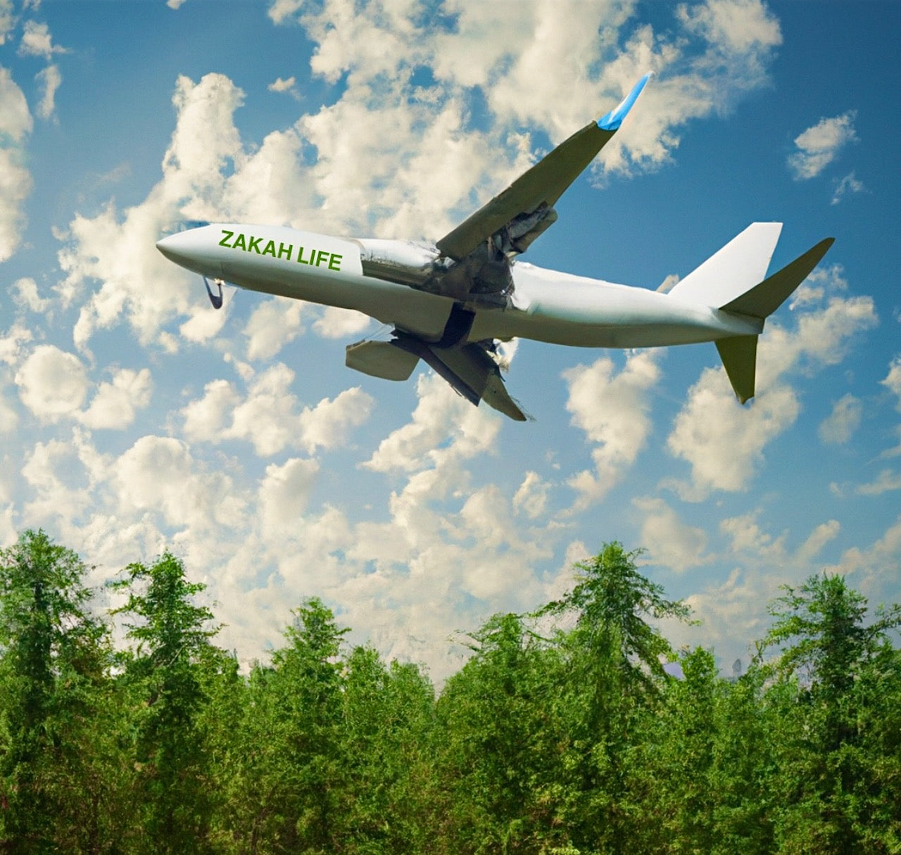 TRAVEL WITH EASE: TSA-APPROVED ORGANIC CBD TOPICAL BALMS FOR YOUR JOURNEY.