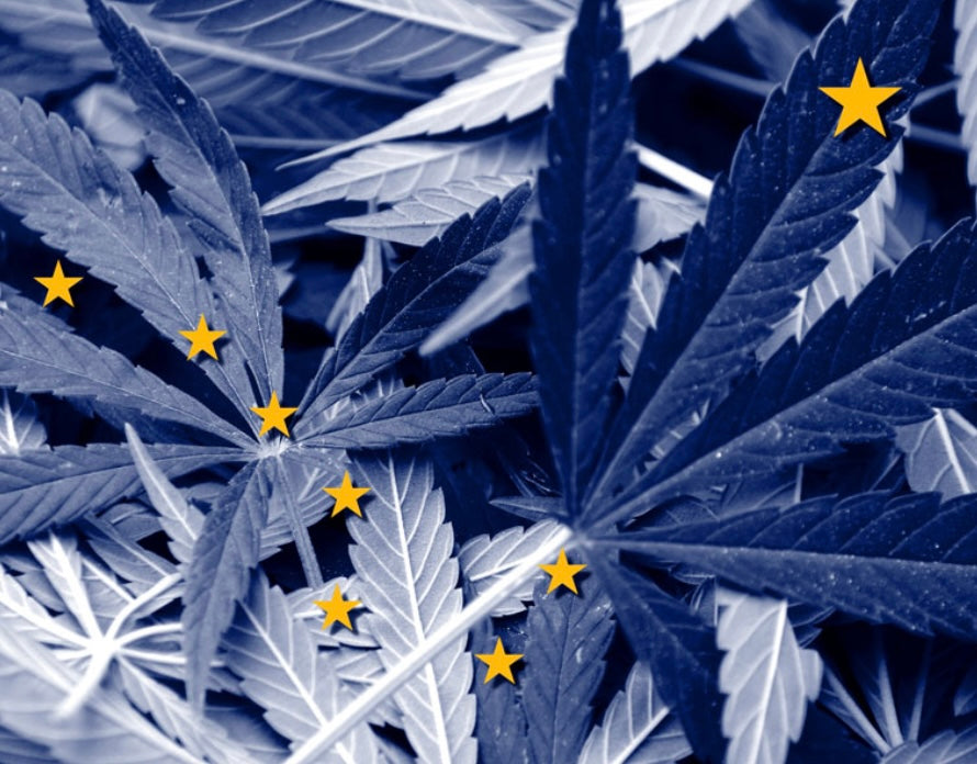 A picture of hemp leaves with stars signifying the state Alaska