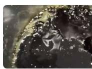 Black Gold cannabis oil