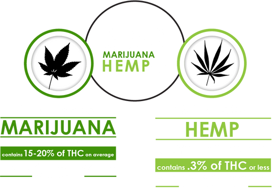 An image that shows the basic difference between hemp and marijuana 
